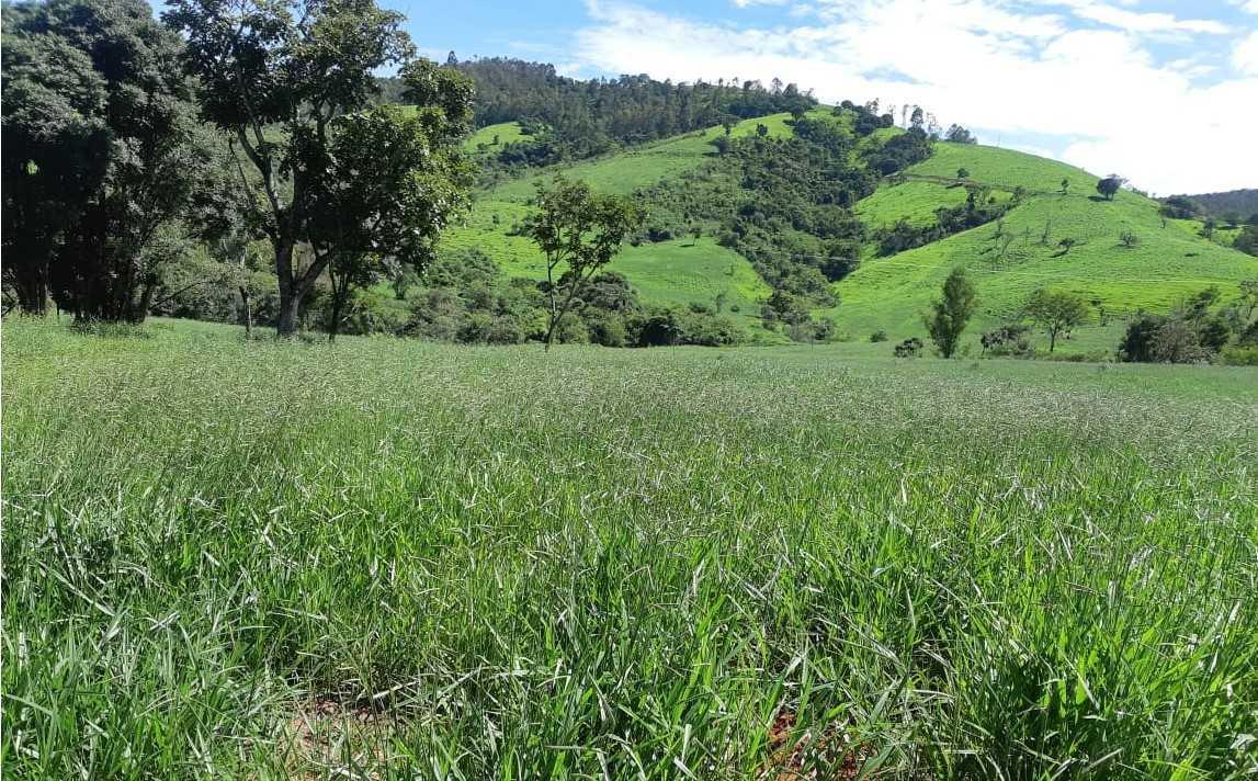 Fazenda, Zona Rural, 2 Quartos, 1 Vaga