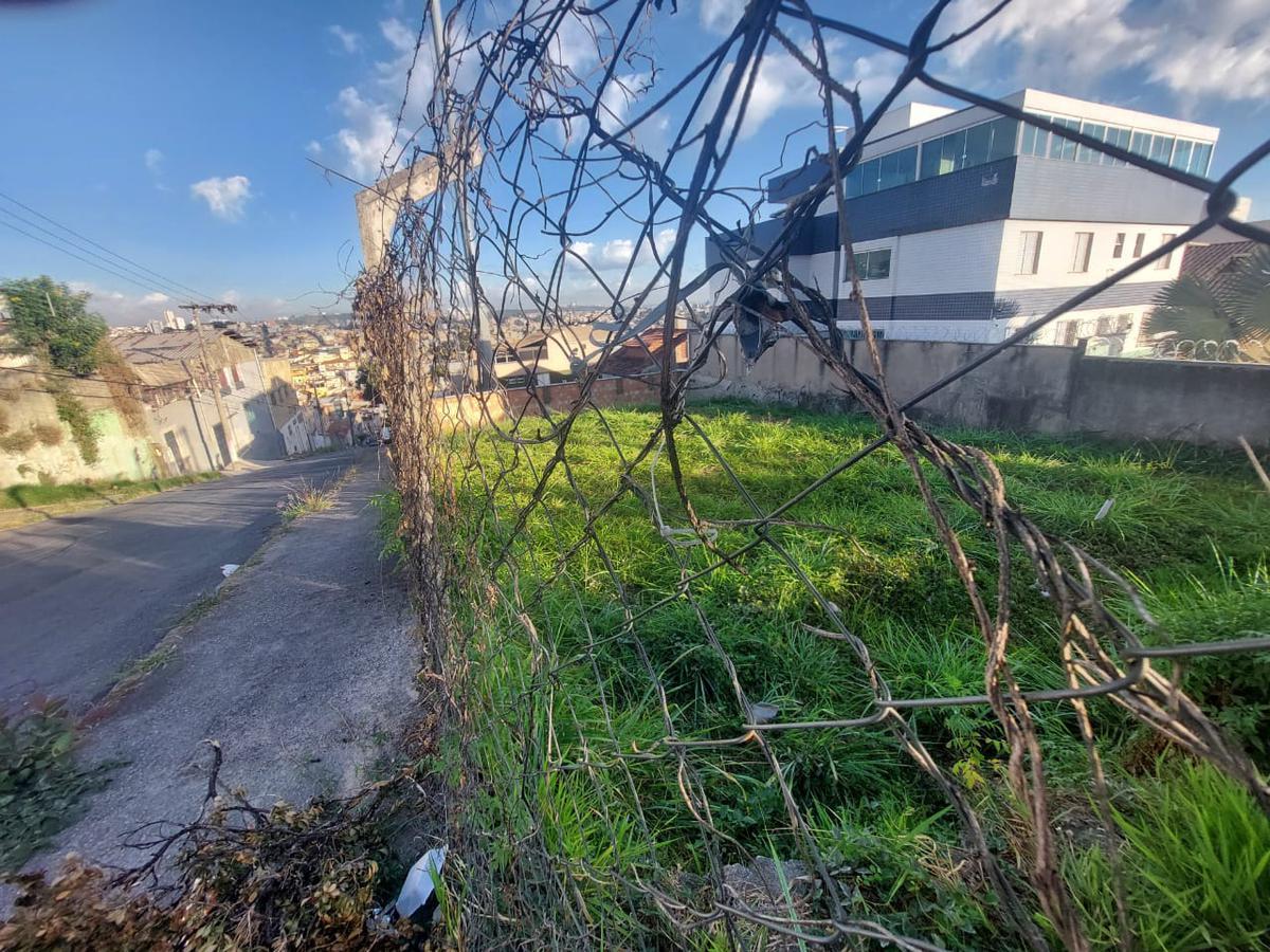 Lote, Cachoeirinha, 0 Quarto, 0 Vaga