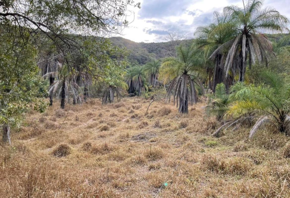 Fazenda, Área Rural de Pará de Minas, 0 Quarto, 0 Vaga
