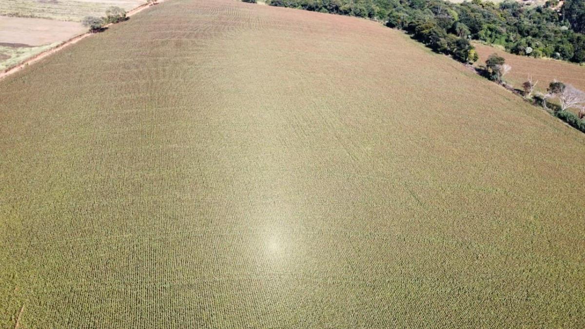 Fazenda, Centro, 0 Quarto, 0 Vaga