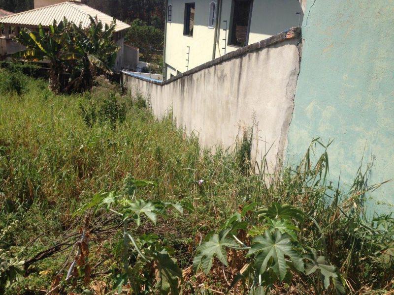 Lote, Tijuca