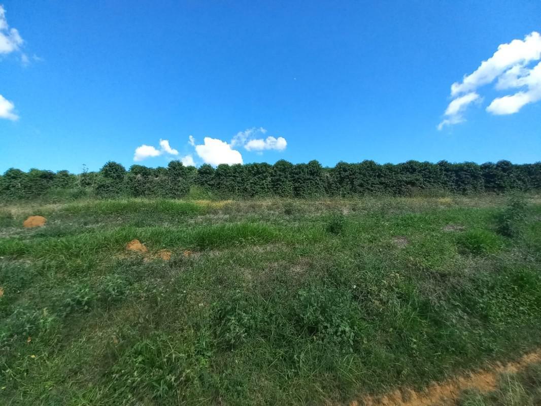 Fazenda, Zona Rural, 5 Quartos, 0 Vaga, 1 Suíte