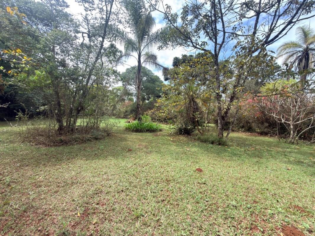 Lote, Lagoa do Miguelão, 0 Quarto, 0 Vaga