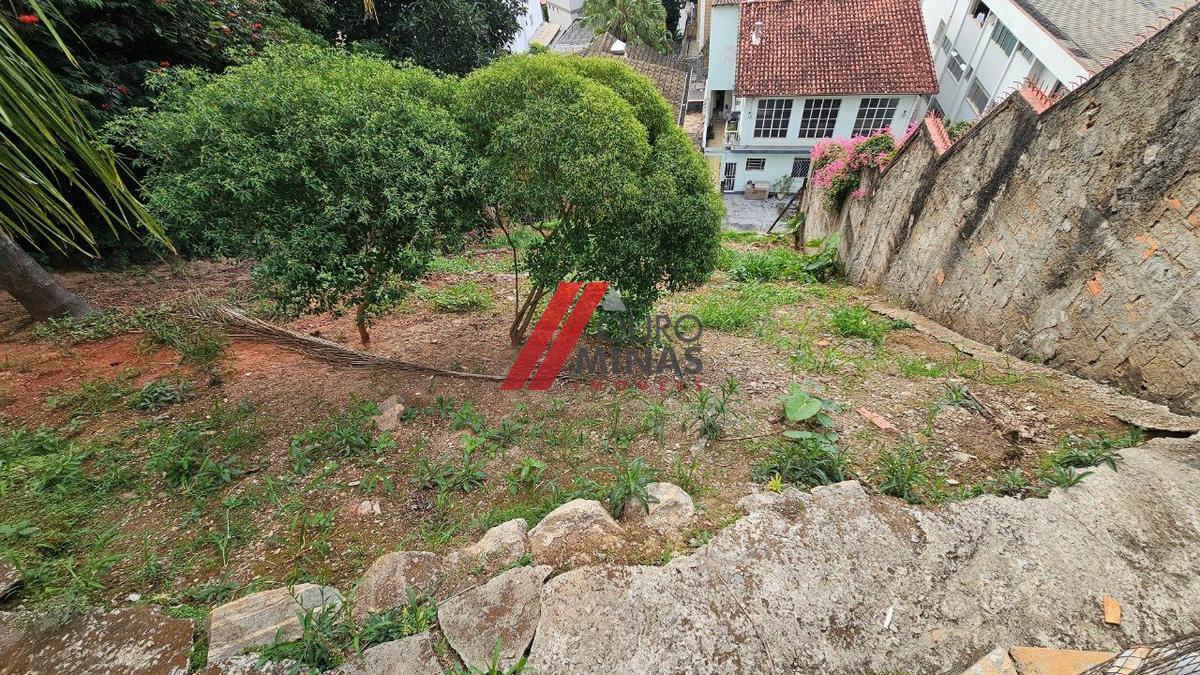 Lote, São Lucas