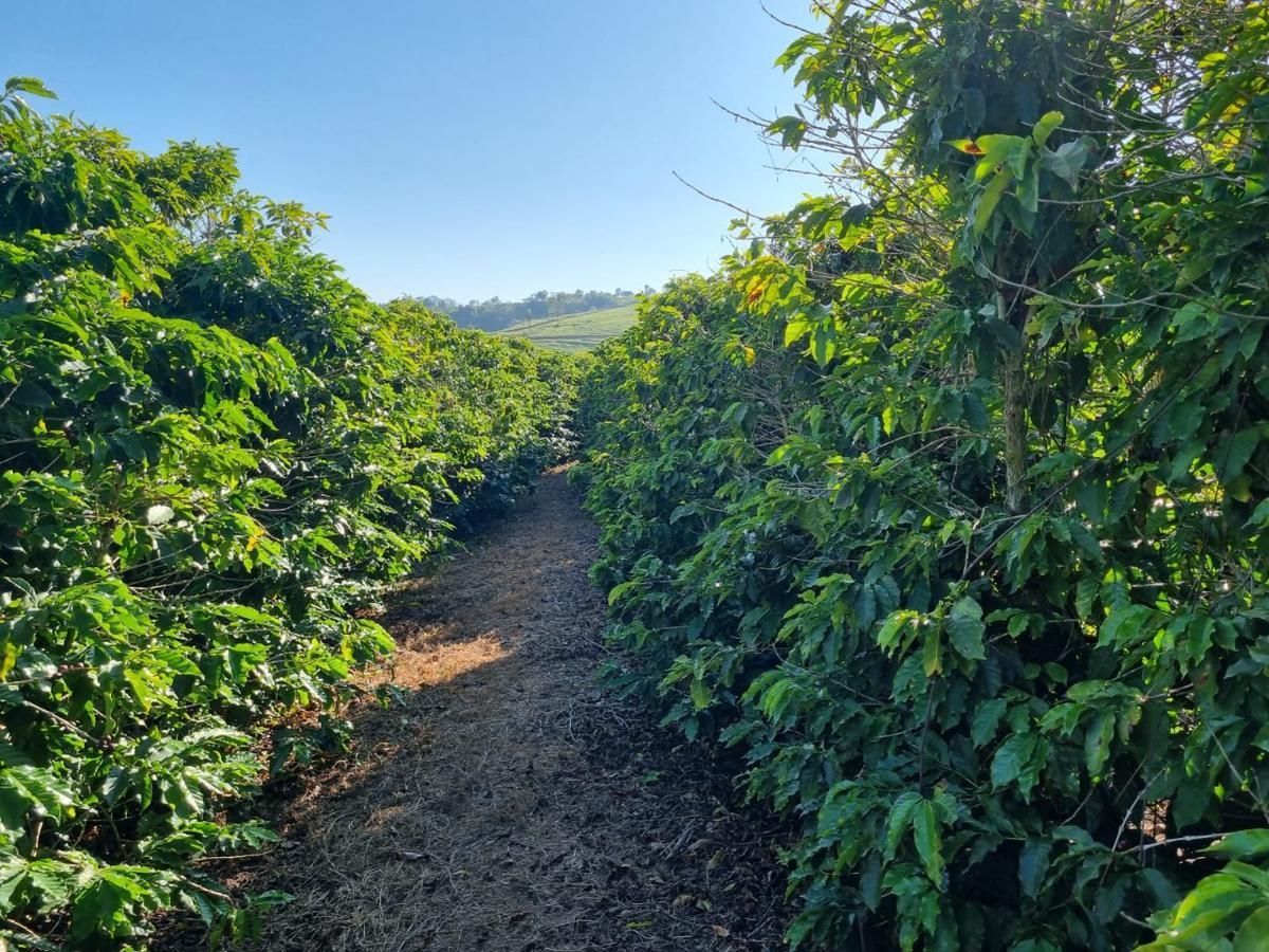Fazenda, Zona Rural, 0 Quarto, 0 Vaga