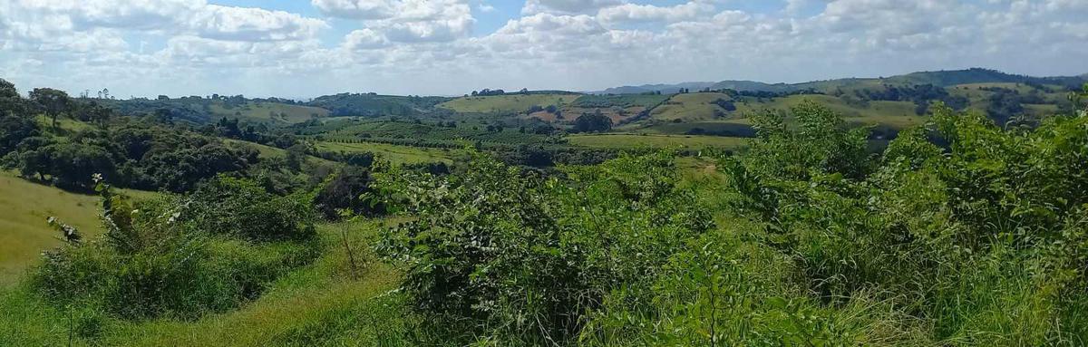 Fazenda, Zona Rural, 4 Quartos, 0 Vaga