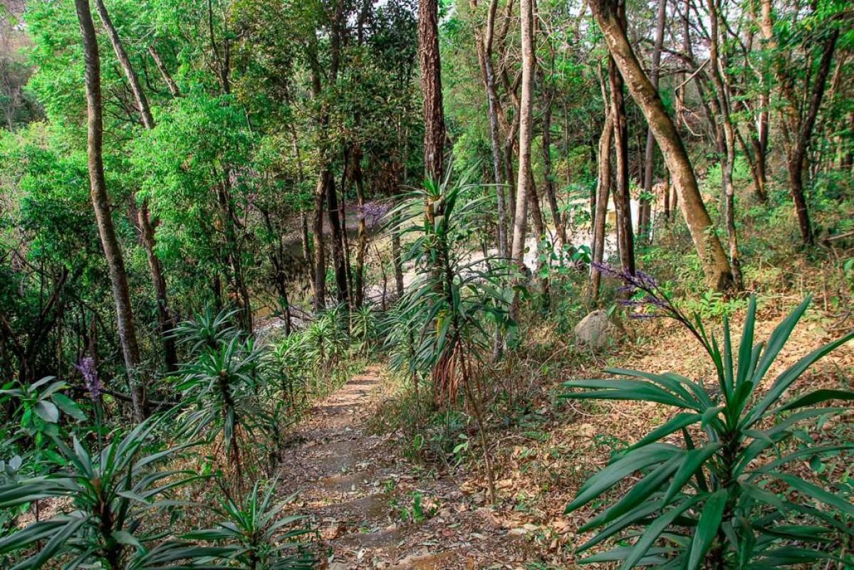 Lote, Parque Ipiranga, 0 Quarto, 0 Vaga