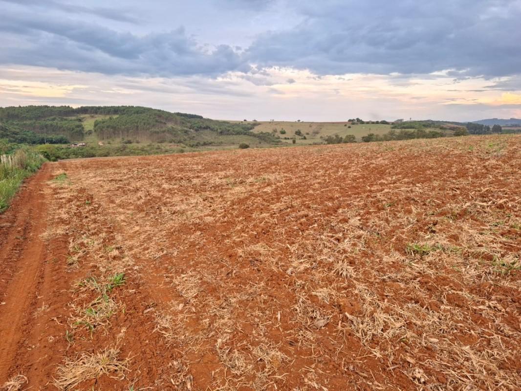 Fazenda, Zona Rural, 0 Quarto, 0 Vaga