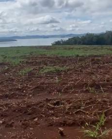 Fazenda, Zona Rural, 0 Quarto, 0 Vaga