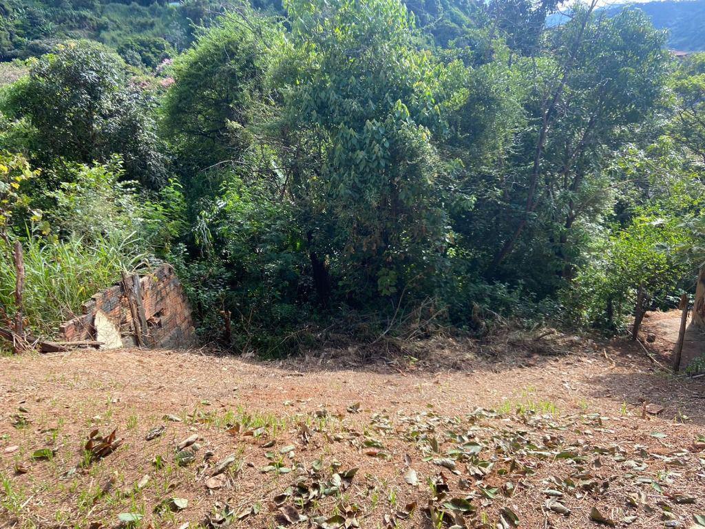 Lote, Centro, 0 Quarto, 0 Vaga