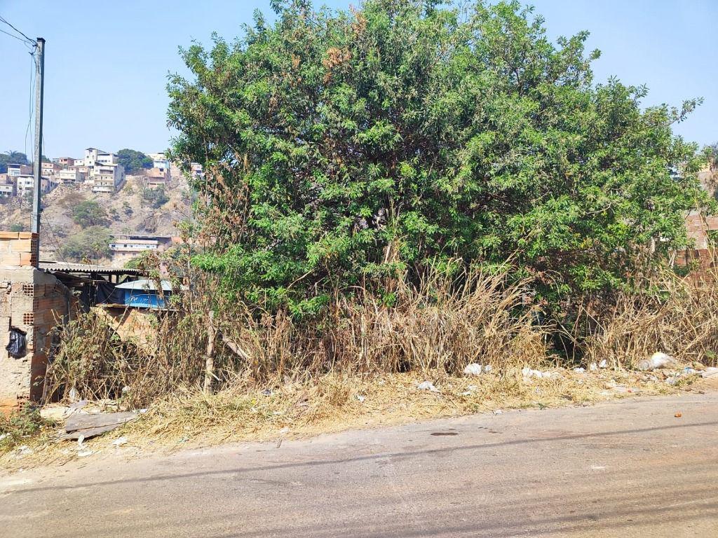 Lote, Nossa Senhora de Fátima, 0 Quarto, 0 Vaga