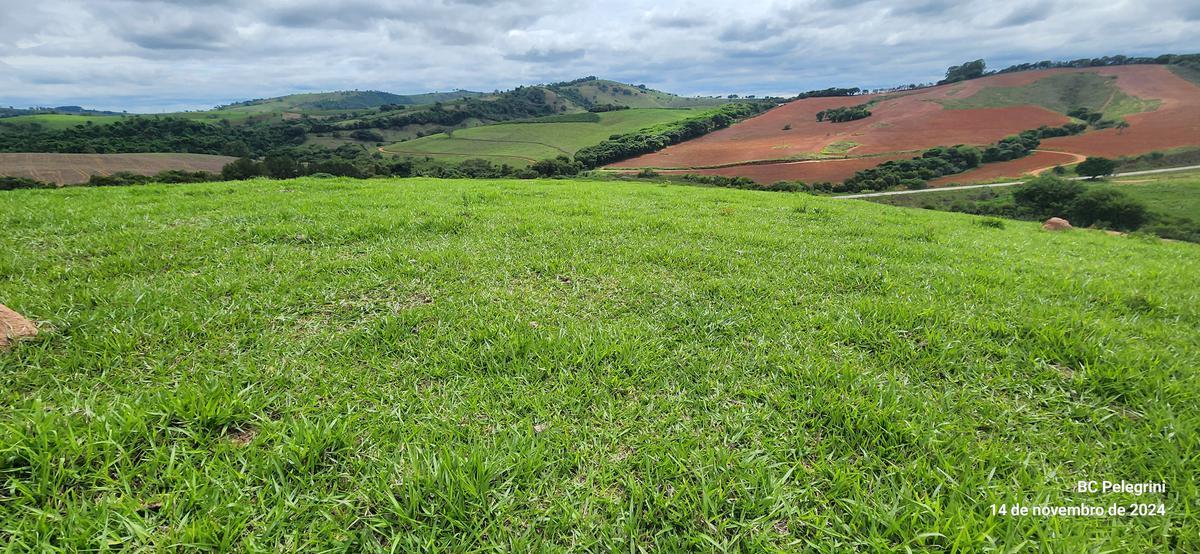 Fazenda, Centro, 3 Quartos, 0 Vaga