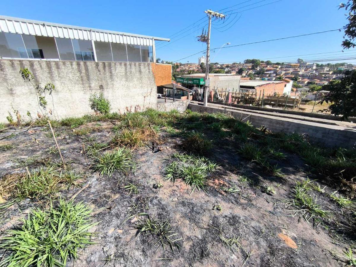 Lote, Pedra Azul, 0 Quarto, 0 Vaga