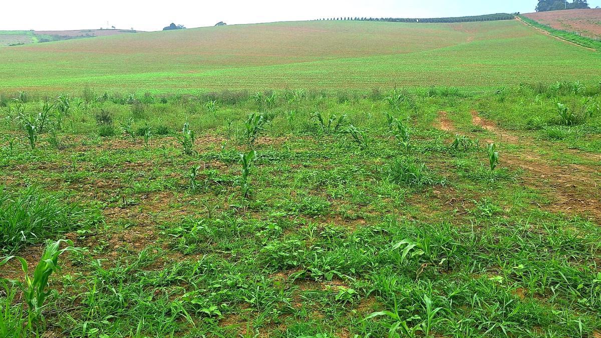 Fazenda, Zona Rural, 3 Quartos, 0 Vaga