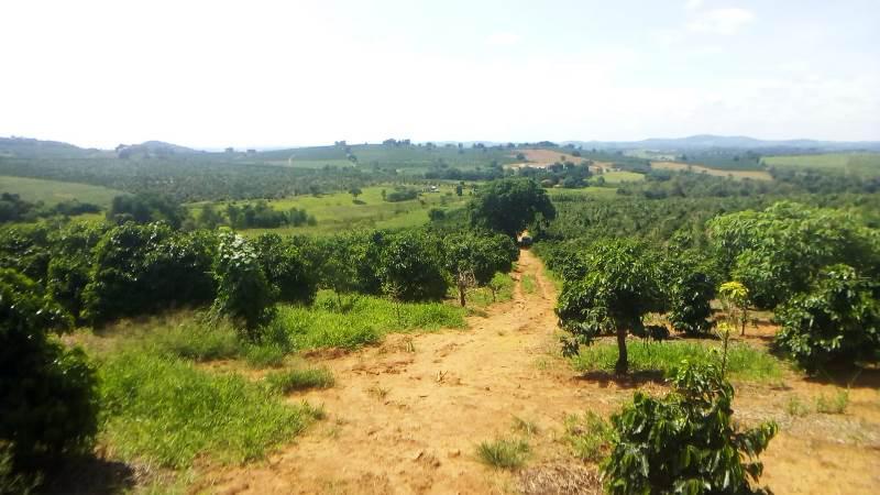 Fazenda, Zona Rural, 0 Quarto, 0 Vaga