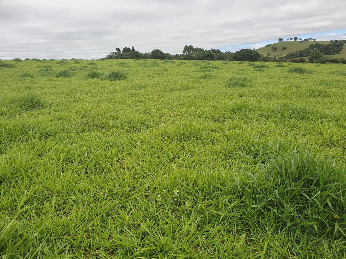 Fazenda, Zona Rural, 1 Quarto, 0 Vaga