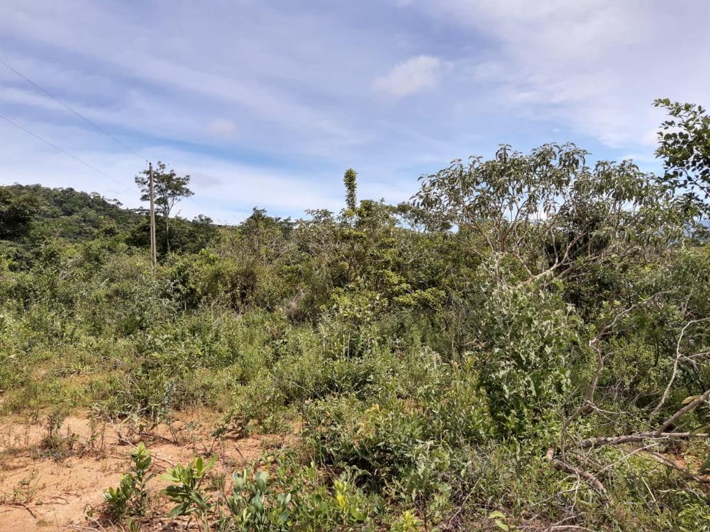 Lote, Morro Vermelho, 0 Quarto, 0 Vaga