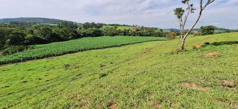 Lote, Zona Rural, 2 Quartos