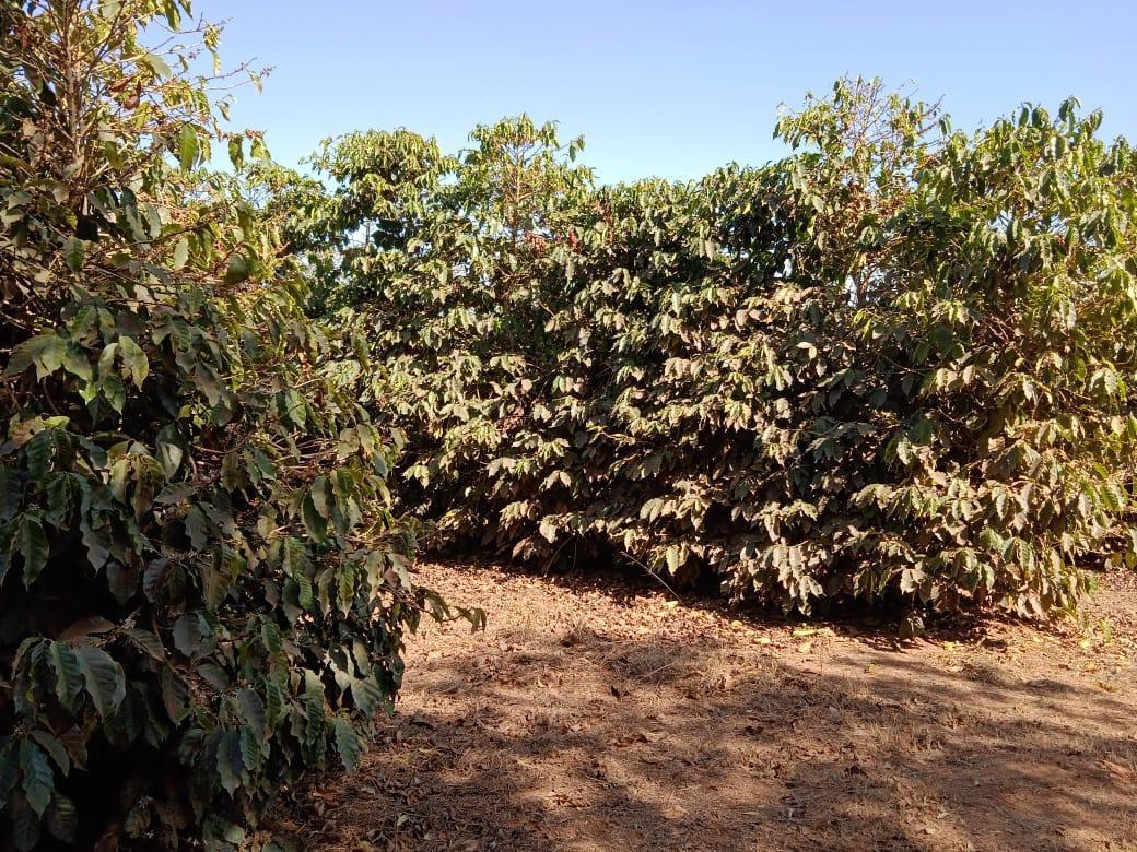 Fazenda, Zona Rural, 2 Quartos, 0 Vaga
