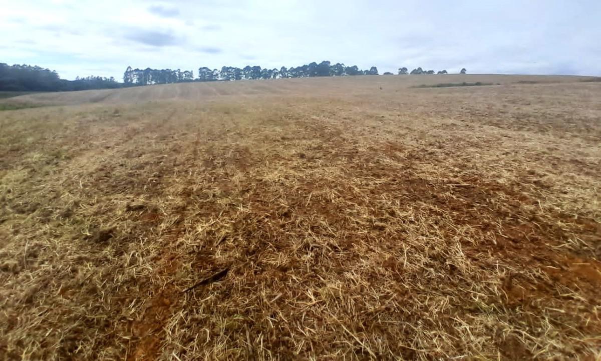 Fazenda, Zona Rural, 0 Quarto, 0 Vaga