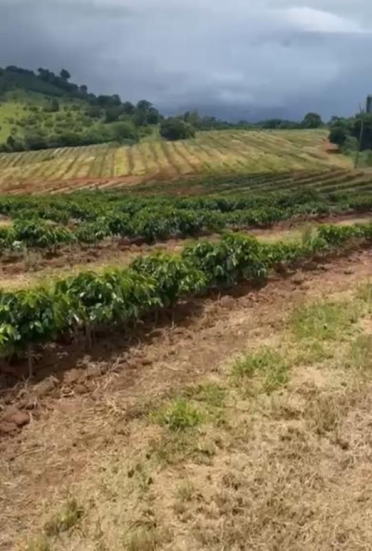 Fazenda, Zona Rural, 0 Quarto, 0 Vaga