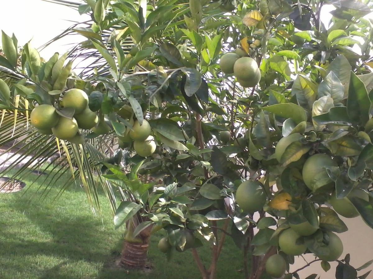 Casa, Jardim Vitória, 3 Quartos, 2 Vagas, 1 Suíte