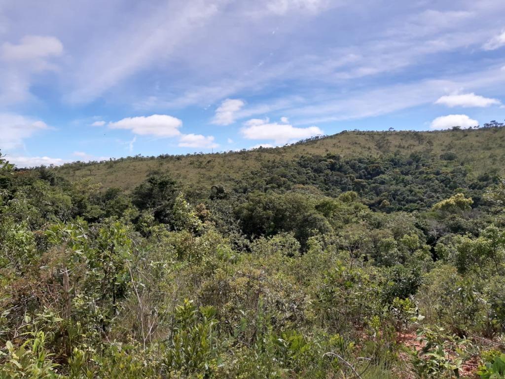Lote, Morro Vermelho, 0 Quarto, 0 Vaga