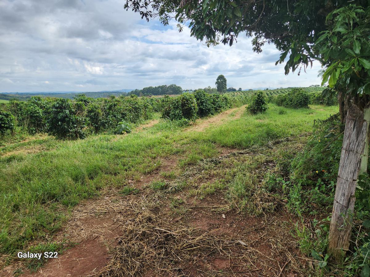 Fazenda, Centro, 2 Quartos, 0 Vaga