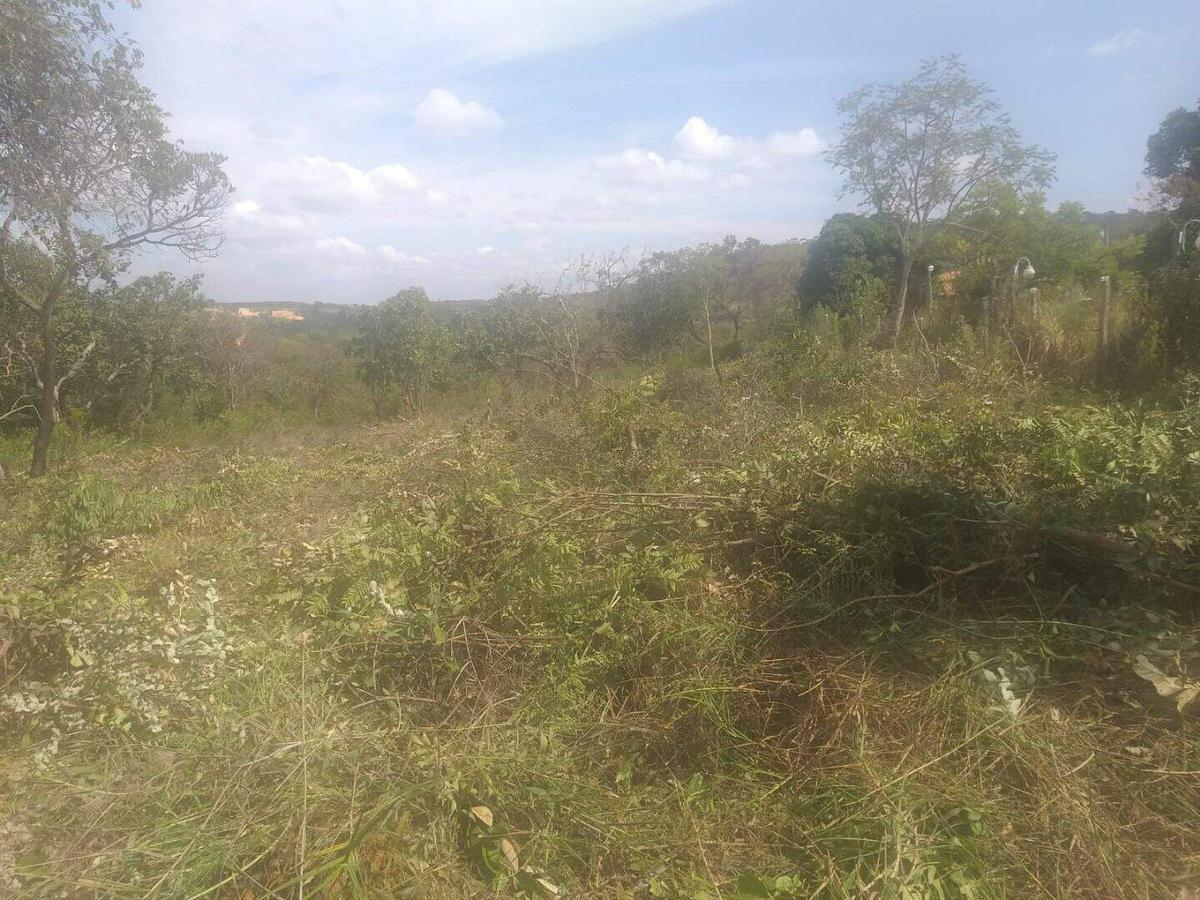 Lote, Zona Rural, 0 Quarto, 0 Vaga