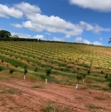 Fazenda, Zona Rural, 3 Quartos, 0 Vaga