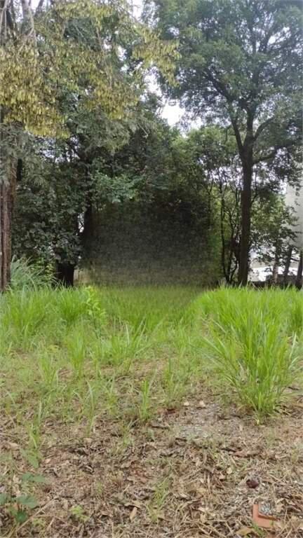 Lote, São Francisco, 0 Quarto, 0 Vaga