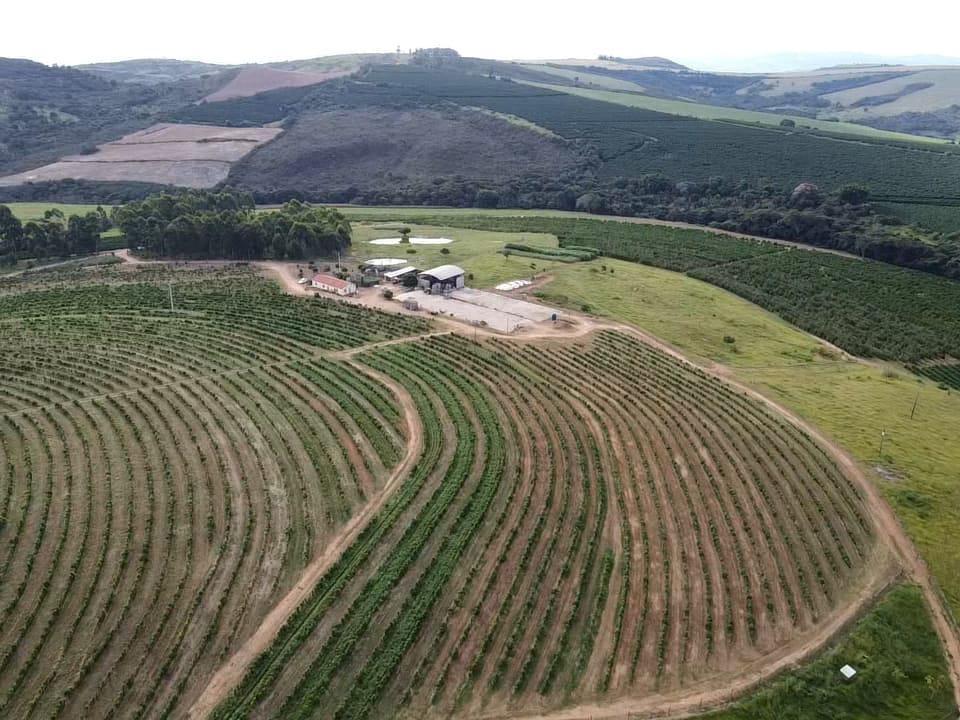 Fazenda, Zona Rural, 0 Quarto, 0 Vaga
