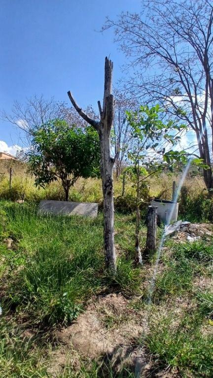 Fazenda, Ravena, 1 Quarto, 0 Vaga