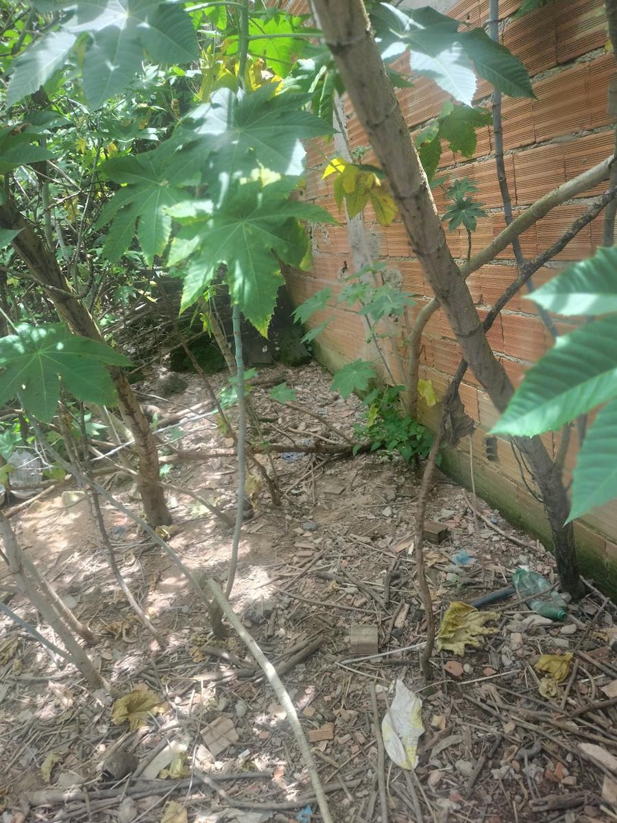 Lote, Colonial, 0 Quarto, 0 Vaga