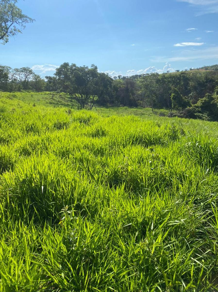Fazenda, Centro, 4 Quartos, 2 Vagas