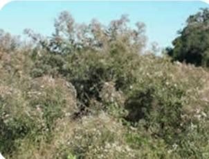 Fazenda, Zona Rural, 0 Quarto, 0 Vaga
