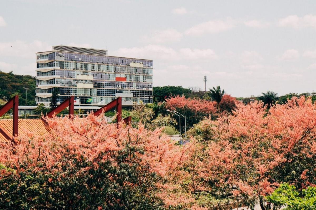 Apartamento, Pampulha, 2 Quartos, 1 Vaga, 1 Suíte
