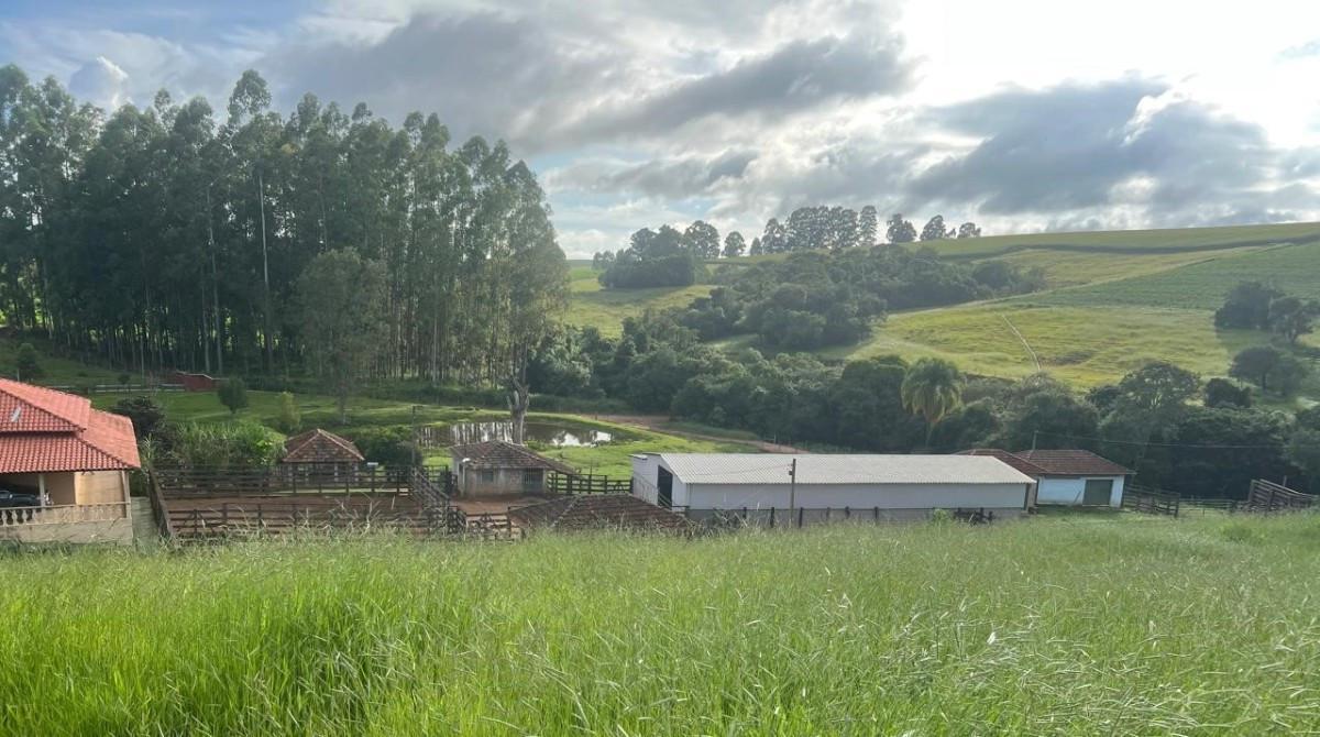 Fazenda, Zona Rural, 0 Quarto, 0 Vaga