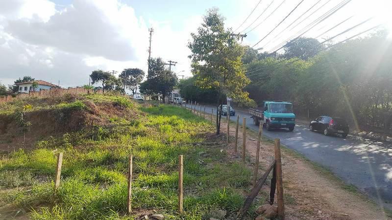 Lote, Braúnas