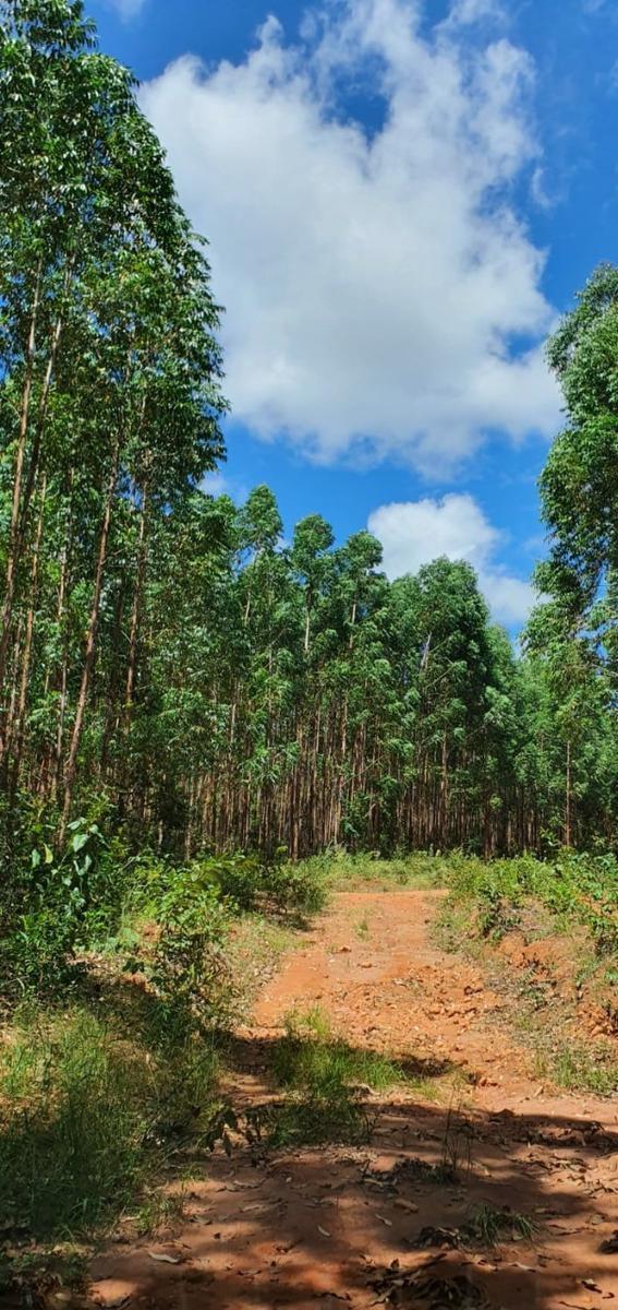 Fazenda, Centro, 4 Quartos, 1 Vaga