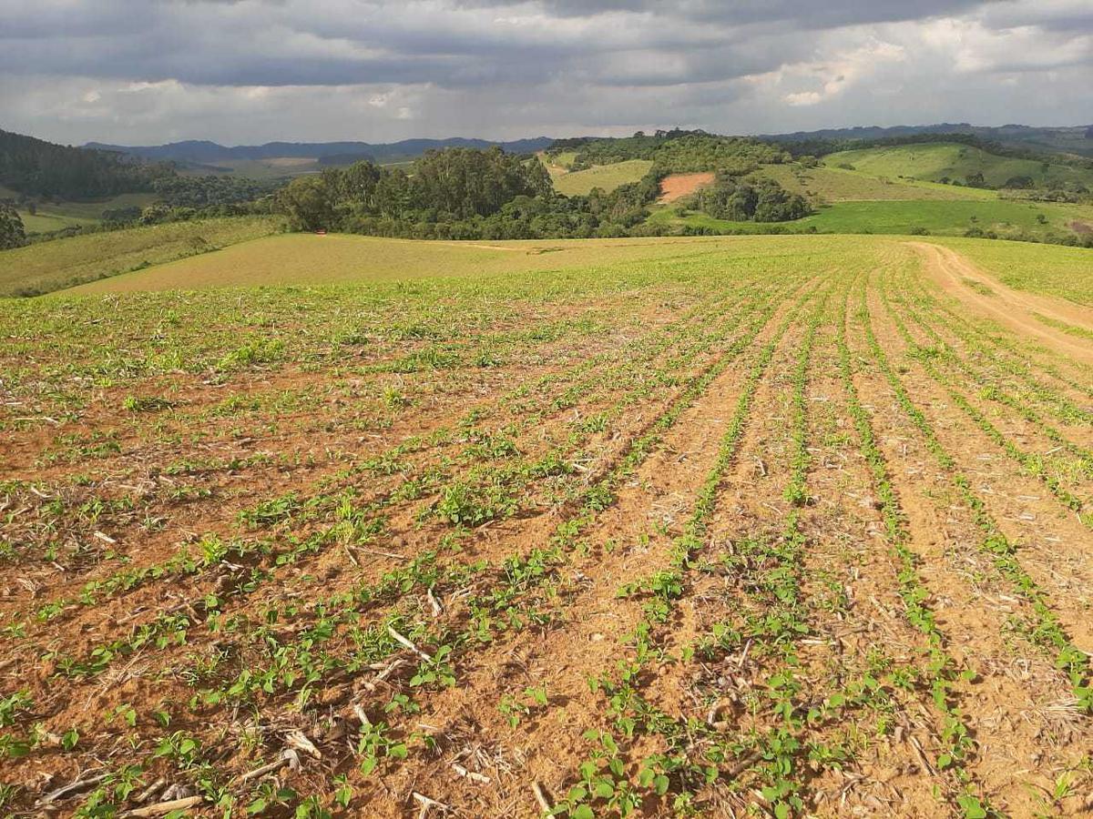 Fazenda, Centro, 0 Quarto, 0 Vaga