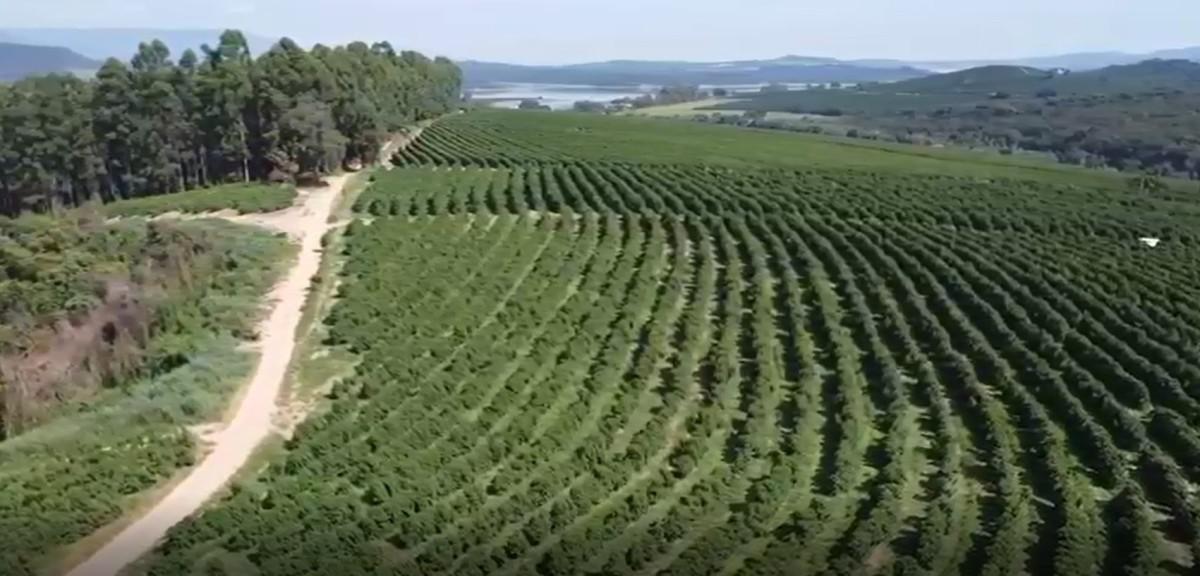 Fazenda, Zona Rural, 0 Quarto, 0 Vaga
