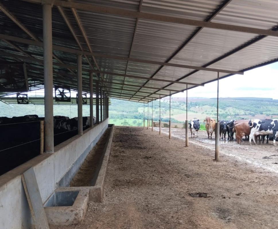 Fazenda, Área Rural de Pará de Minas, 0 Quarto, 0 Vaga