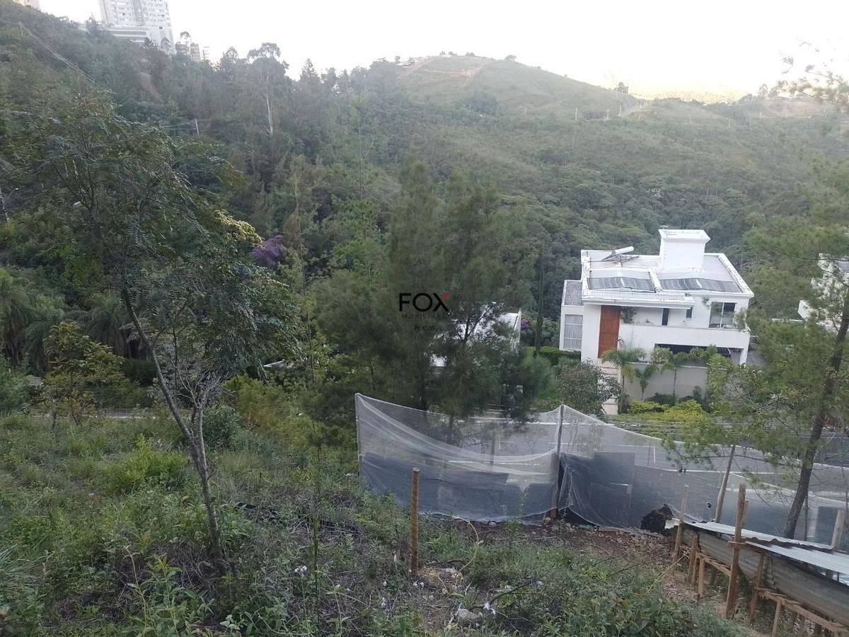 Lote, Vila Castela, 0 Quarto, 0 Vaga