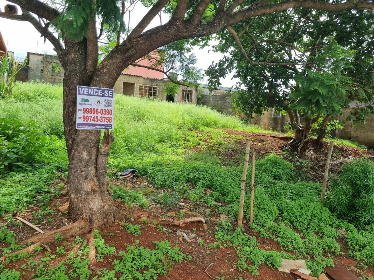 Lote, Centro, 0 Quarto, 0 Vaga