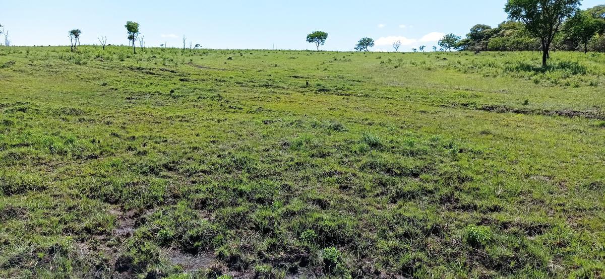 Fazenda, Zona Rural, 0 Quarto, 0 Vaga