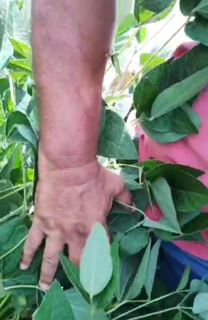 Fazenda, Zona Rural, 0 Quarto, 0 Vaga