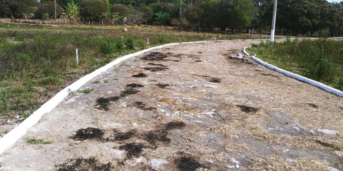 Lote, São José, 0 Quarto, 4 Vagas
