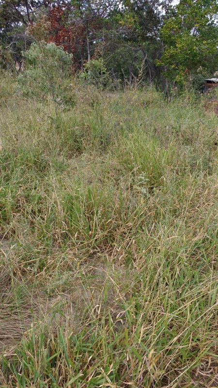 Lote, Centro, 0 Quarto, 1 Vaga
