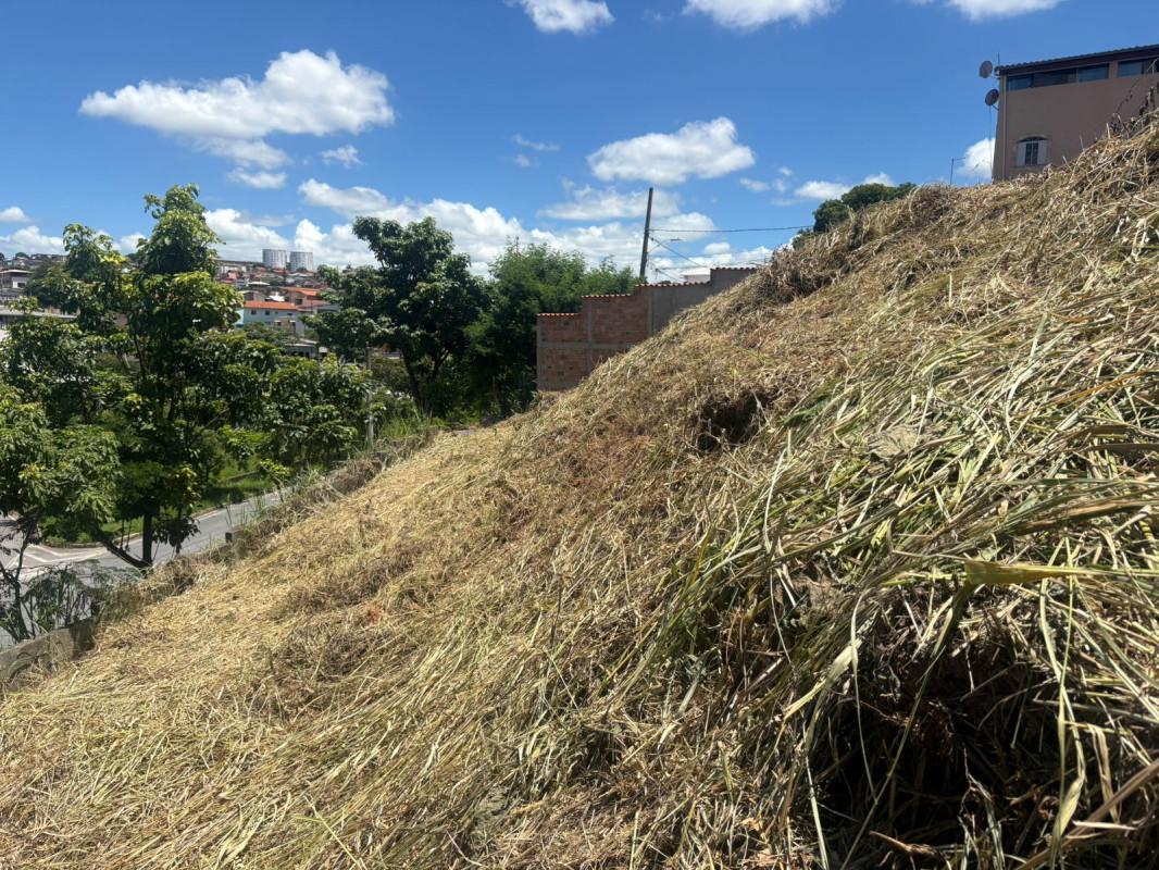 Lote, Santa Mônica, 0 Quarto, 0 Vaga
